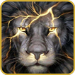 Lion Wallpapers icon
