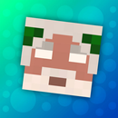 APK Skins for Craftsman, Minecraft