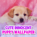 Cute Innocent Puppy Wallpaper APK