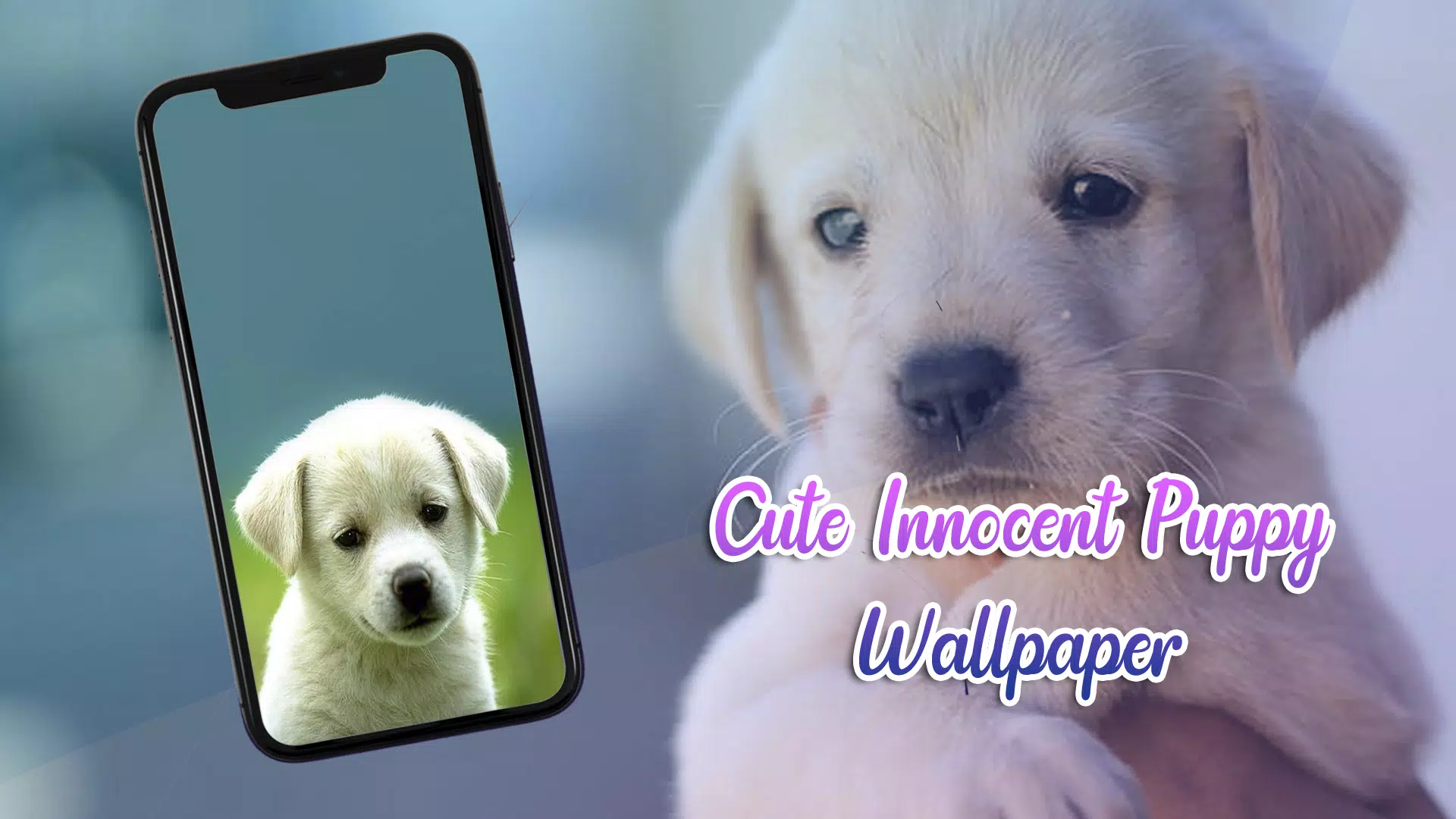 Cute Innocent Puppy Wallpaper APK for Android Download
