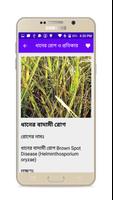 ছবি সহ ধানের প্রধান রোগ ও প্রত screenshot 2