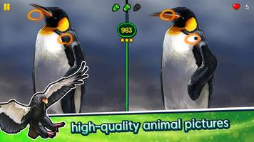 Find the Difference - Animals screenshot 1