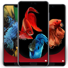 Betta Fish Smart Wallpapers иконка