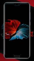 Betta Fish Smart Wallpapers 截图 3