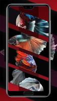 Betta Fish Smart Wallpapers capture d'écran 1