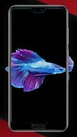 برنامه‌نما Betta Fish Smart Wallpapers عکس از صفحه