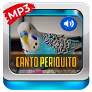 Canto Do Periquito Australiano APK