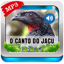 O Canto do Jacu Pássaro APK