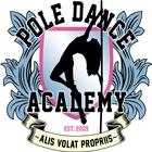 Pole Dance Academy App icon