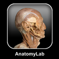 AnatomyLab