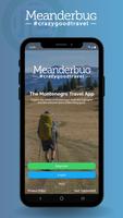 Meanderbug poster