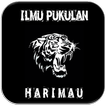 Ilmu Pukulan Harimau Terampuh