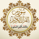 سور من القرآن بالتشكيل الملون APK