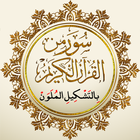 سور من القرآن icône