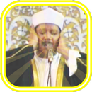 Abdul Basit Quran MP3 Offline APK