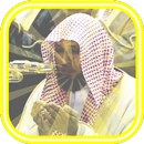 Quran Maher Al Mueaqly Offline APK