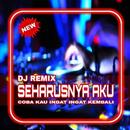 DJ boy band jedag jedug APK