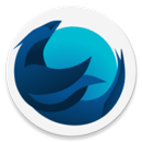 Riki Browser lite In India APK