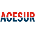 Acesur Repuestos Auto Partes