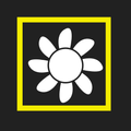 Flower Classifier