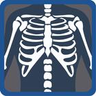 Medicos Radiology ícone