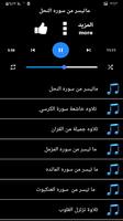 قران عبد الرحمن مسعد بدون نت imagem de tela 2