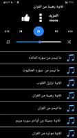 قران عبد الرحمن مسعد بدون نت imagem de tela 3