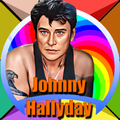 Iexposition Johnny Hallyday