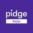 Pidge Executive ícone