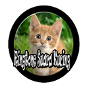 Ringtone Suara Kucing-APK