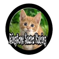 Ringtone Suara Kucing-poster