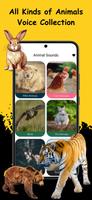 Animal Voice Ringtone 포스터