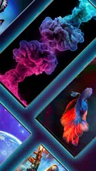 download ZED - Sfondi E Suonerie XAPK