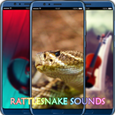 Rattlesnake Sounds APK