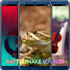 Rattlesnake Sounds Zeichen
