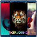 Tiger Sound App APK
