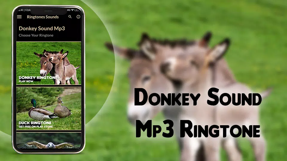 Donkey Sound Mp3 Ringtone APK for Android Download