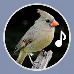 Bird Ringtones APK download