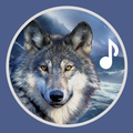 Sonneries Loup : Sons Hurlants