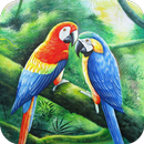 Bird Sounds and Ringtones APK