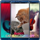 Cat Ringtone App APK
