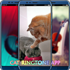 Cat Ringtone App icône