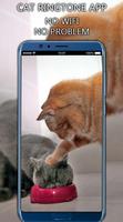Cat Ringtone App bài đăng
