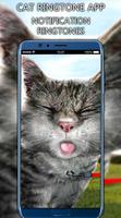 Cat Ringtone App capture d'écran 3