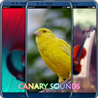 Canary Sounds icône