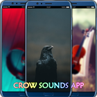 Crow Sounds App ícone
