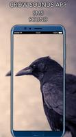 Crow Sounds App imagem de tela 3