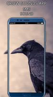 Crow Sounds App Screenshot 3