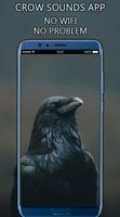 Crow Sounds App Affiche