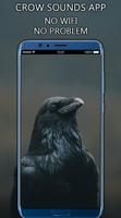 Crow Sounds App Plakat